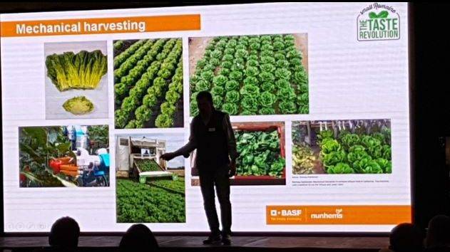 Nunhems 0|nunhems alfonso